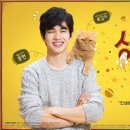 상상고양이 이미지