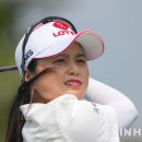 블루베이 이미지