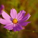 대건고등학교 이미지