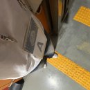 야구장 | 야구장 알바 후기 🏟️