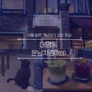 [대구 대명동] 안지랑곱창골목 근처 찻집 운남차정(with 개냥이) 내돈내산