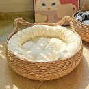 프라이펫 이미지