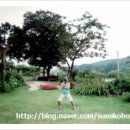 빼뽀펜션 이미지