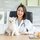 권오성동물병원 이미지