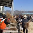 경산묘목