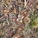 늘밤농원 이미지