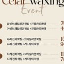 셀라왁싱