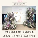 월 호텔 | 엘리에나호텔웨딩 임페리얼홀 신부대기실 포토월 로비 투어 후기 총정리