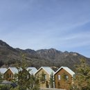 188 | 188다산트라풀빌라 이용후기