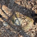 김천시남면보건지소 | 김천-백마산-국사봉-제석봉-절골산-운남산-노고봉