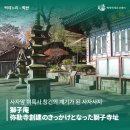 사자사지 | 미륵사 창건의 계기가 된 사자사지 "사자암" 弥勒寺創建のきっかけとなった獅子寺址"獅子庵"