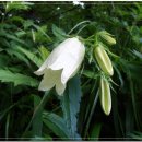 굿에프터눈 이미지