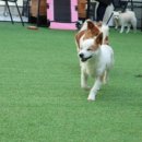 어라운드1142 이미지