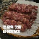 문정역 마봉양꼬치 맛집 후기 | 송파 법조타운 주차팁까지
