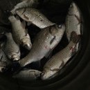 낚시 훈련소 이미지