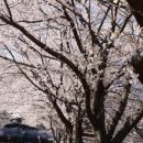 지리산리조트 이미지