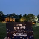 청와대 야간개장 :: 밤의산책 관람 후기 및 준비물(feat.주변 가볼만한곳/서촌 맛집)