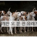 오!오