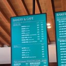 로카와 델피노2 이미지