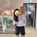 고양이랑 짱친될사람? 서울 실내 동물원 홍대 테이블에이 방문 후기