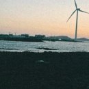 제주여행 3일차🌴 제주 독립서점 애월책방 이다 더럭초등학교 인디언키친 탐라에일 맥주 양조장 테라도스...
