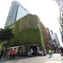 명동8길 이미지