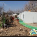 제이지피 이미지