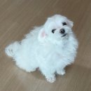 은솔분식 | 진짜제목못정했다정하는것을회피한다언젠가수정함
