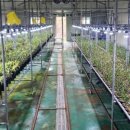 햇살농장 태양광 이미지