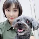 이쁘개 애견샵 이미지