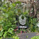 문팰리스 | 오키나와 4박 5일 여행 Day 3 숙소 리뷰 : 문 비치 팰리스 오키나와 (프라이빗 비치, 12월 후기)