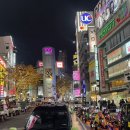 시부야 이미지