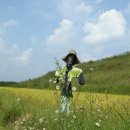 허수아비 이미지