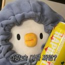 더오리 이미지