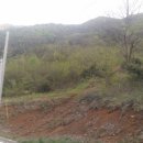 산수유자연휴양림 이미지