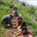 감정초등학교 이미지