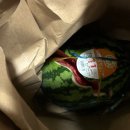 헤이댕댕 이미지