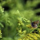 육회실장 이미지