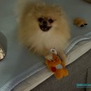 캐칭덕 상수점 | [내돈내산] 홍대 인형뽑기방- 캐칭덕 상수역점 솔직 후기