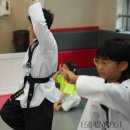 최강태권도 이미지