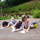 달팽이숲