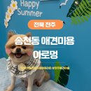 아로멍 | 전주 애견미용 강아지 목욕 천연아로마스파 아로멍