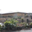 천기권의료기 이미지