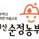 솔티찬샘물 네이버블로그