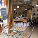 도그카페 이미지