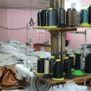 행복을주는나무 이미지