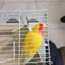 오석헌동물병원 이미지