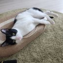 지인동물약품 이미지