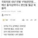 국회의원 내년 연봉 1억6천만원…예산 줄삭감하더니 본인들 월급 쑥 올려 이미지