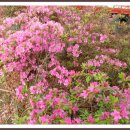 조선대학교병원 이미지